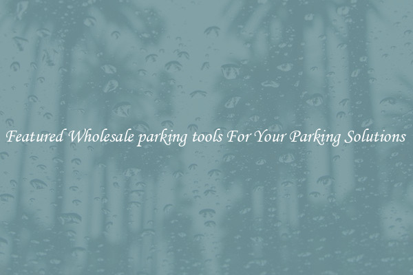 Featured Wholesale parking tools For Your Parking Solutions 