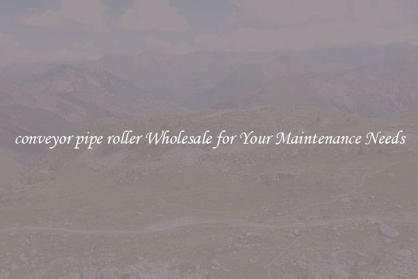 conveyor pipe roller Wholesale for Your Maintenance Needs