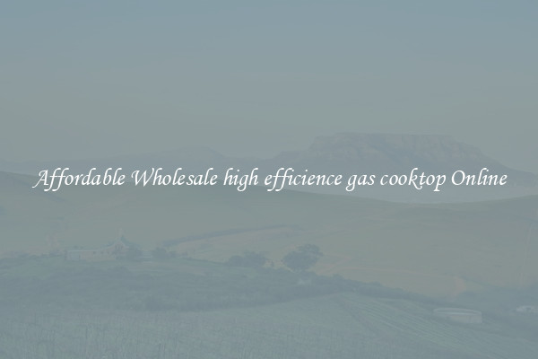 Affordable Wholesale high efficience gas cooktop Online