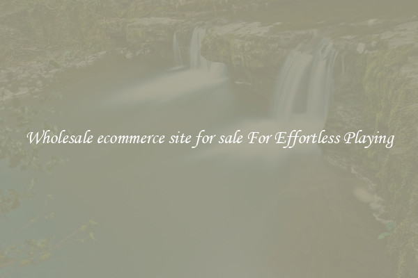 Wholesale ecommerce site for sale For Effortless Playing