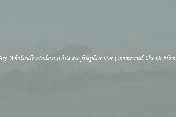 Buy Wholesale Modern white eco fireplace For Commercial Use Or Homes