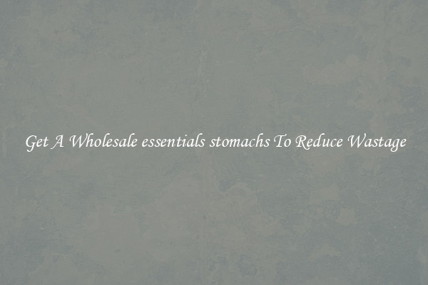 Get A Wholesale essentials stomachs To Reduce Wastage