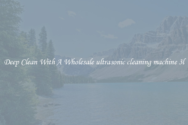 Deep Clean With A Wholesale ultrasonic cleaning machine 3l