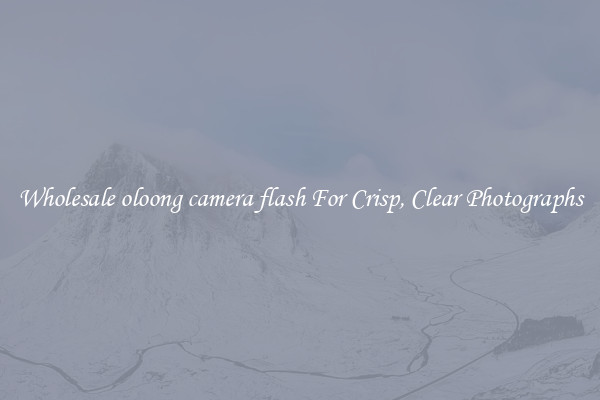Wholesale oloong camera flash For Crisp, Clear Photographs
