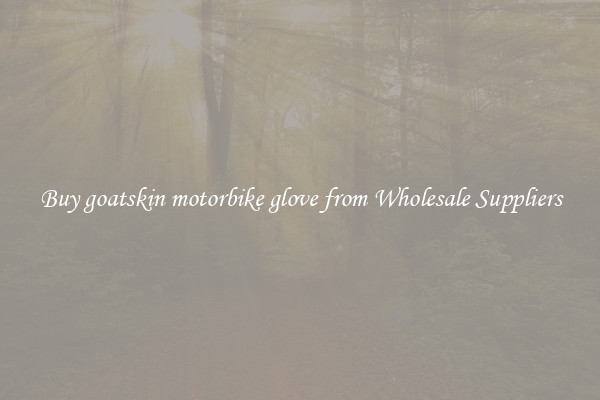 Buy goatskin motorbike glove from Wholesale Suppliers