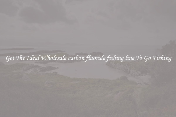 Get The Ideal Wholesale carbon fluoride fishing line To Go Fishing