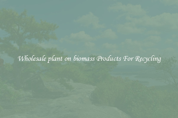 Wholesale plant on biomass Products For Recycling