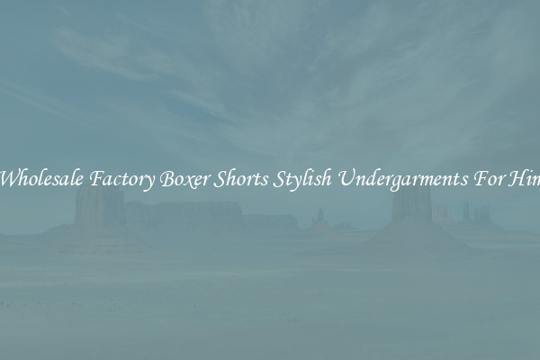 Wholesale Factory Boxer Shorts Stylish Undergarments For Him