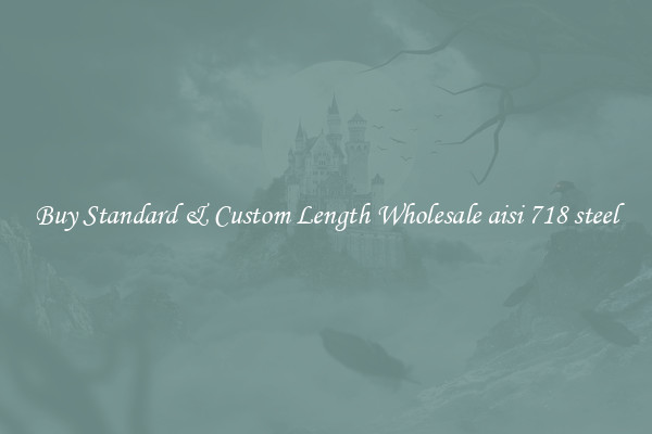 Buy Standard & Custom Length Wholesale aisi 718 steel