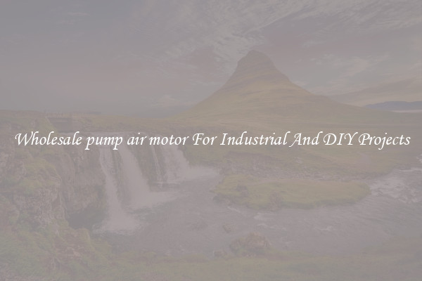Wholesale pump air motor For Industrial And DIY Projects
