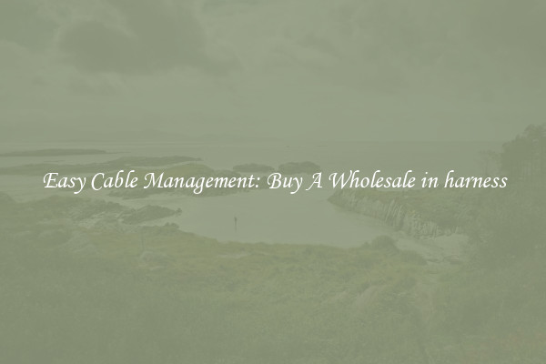 Easy Cable Management: Buy A Wholesale in harness