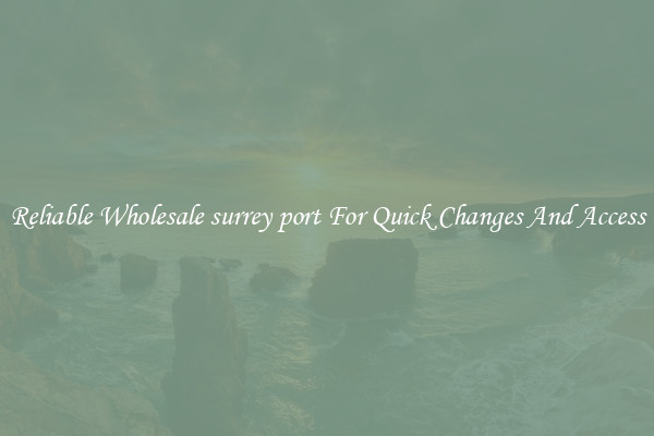 Reliable Wholesale surrey port For Quick Changes And Access