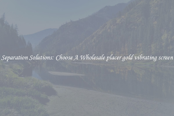 Separation Solutions: Choose A Wholesale placer gold vibrating screen