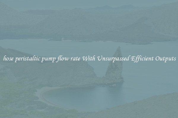 hose peristaltic pump flow rate With Unsurpassed Efficient Outputs