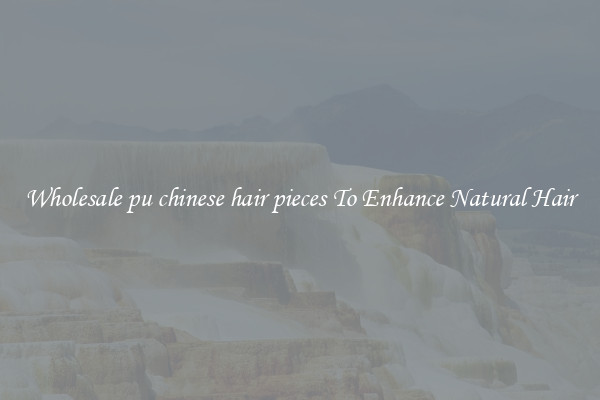 Wholesale pu chinese hair pieces To Enhance Natural Hair